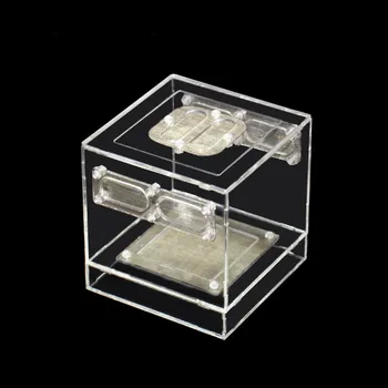Malé Plazy Chov Box priehľadný Akrylový Klietky Biotopov Hmyzu Kŕmenie Box Terárium Nádrž Uniknúť Dôkaz Kowloon chov box